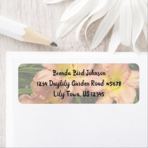 Daylily Flowers Trio / Pink And Yellow