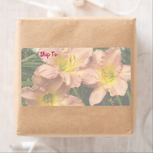 Daylily Flowers Trio / Pink And Yellow