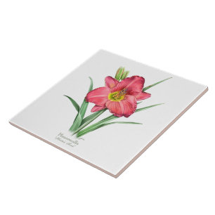 Daylily - Hunter's Torch Tile