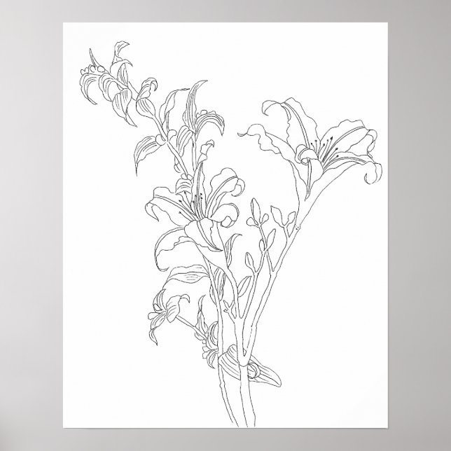 daylily line drawing black and white poster (Front)