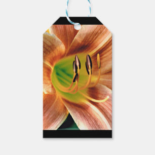Daylily Macro Gift Tags