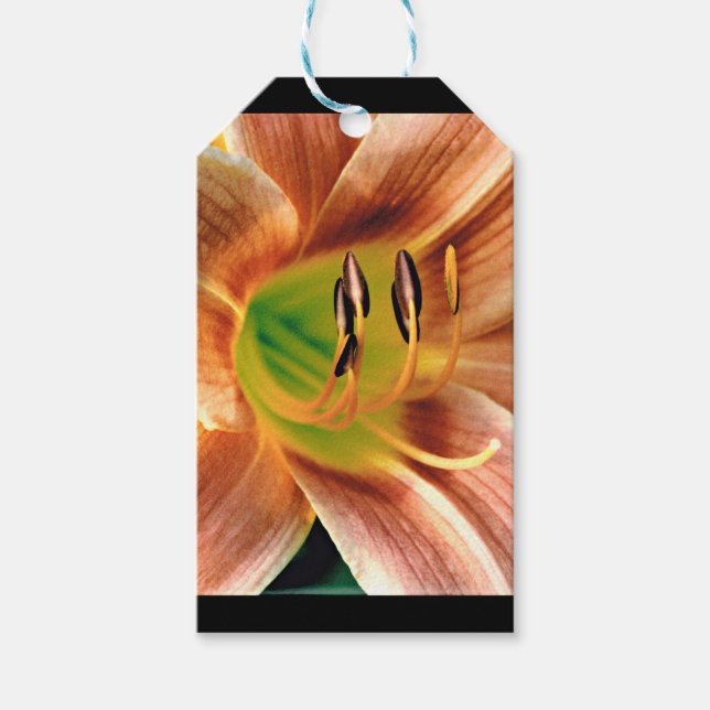 Daylily Macro Gift Tags (Front)