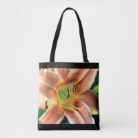 Daylily Macro