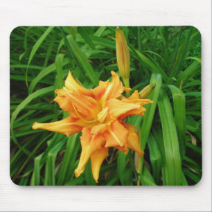 Daylily mousepad