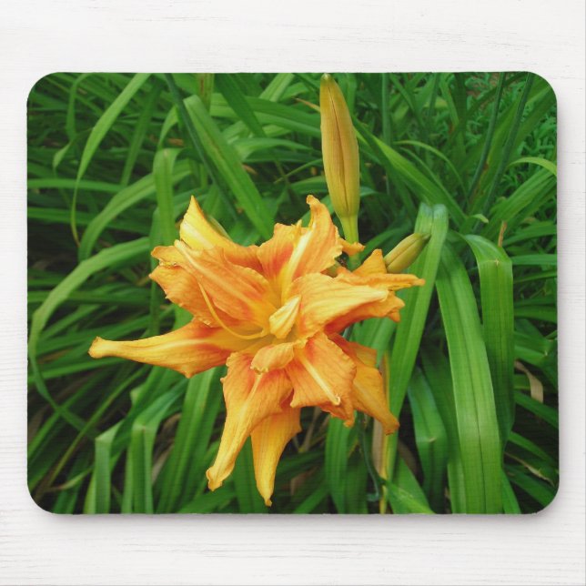 Daylily mousepad (Front)