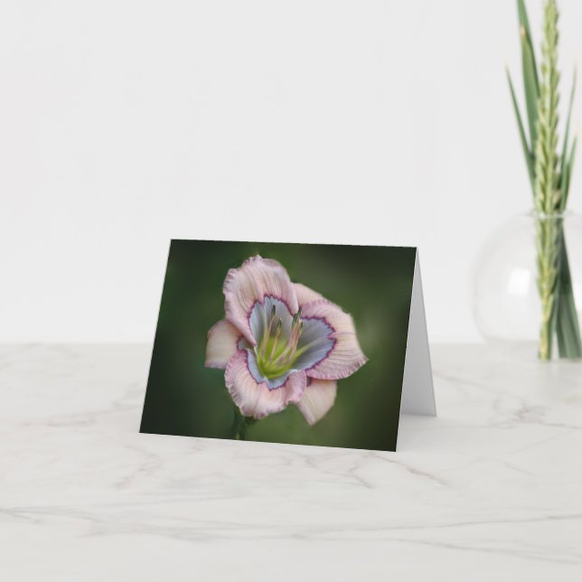 Daylily Note Card (Front)