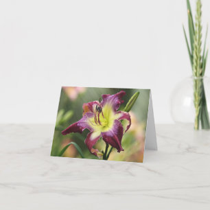 Daylily Note Card