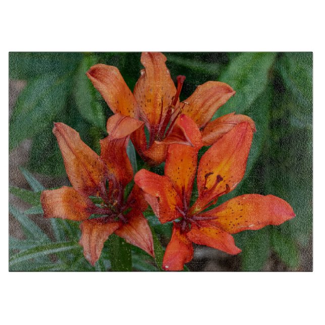 Daylily Orange Canadian Flower Photography Cutting Board (Front)