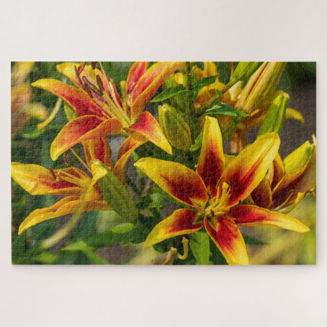 Daylily Orange Canadian Flower Photography Jigsaw Puzzle (Horizontal)