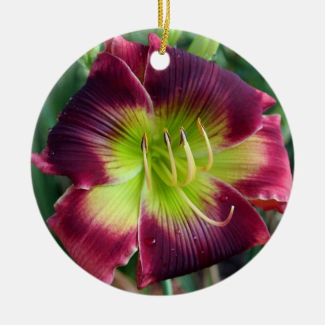 Daylily Ornament (Front)