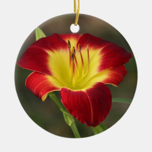 Daylily Ornament (Front)