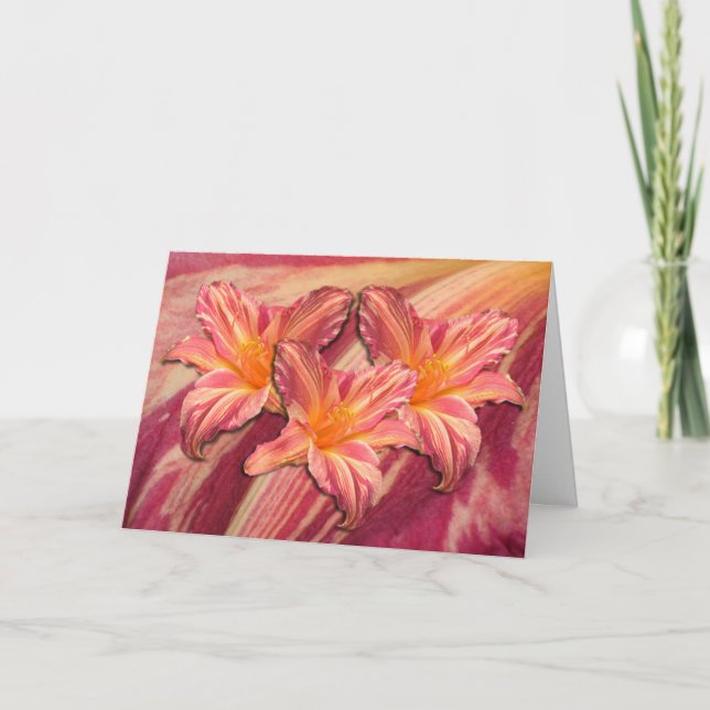 Daylily 'Pink Stripes' Card (Front)