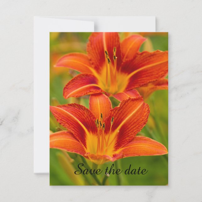 Daylily Save The Date Card (Front)