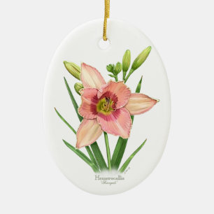 Daylily - Svengali Ceramic Tree Decoration