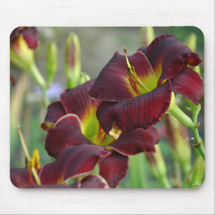 Daylily 'Vintage Bordeaux' Mouse Mat