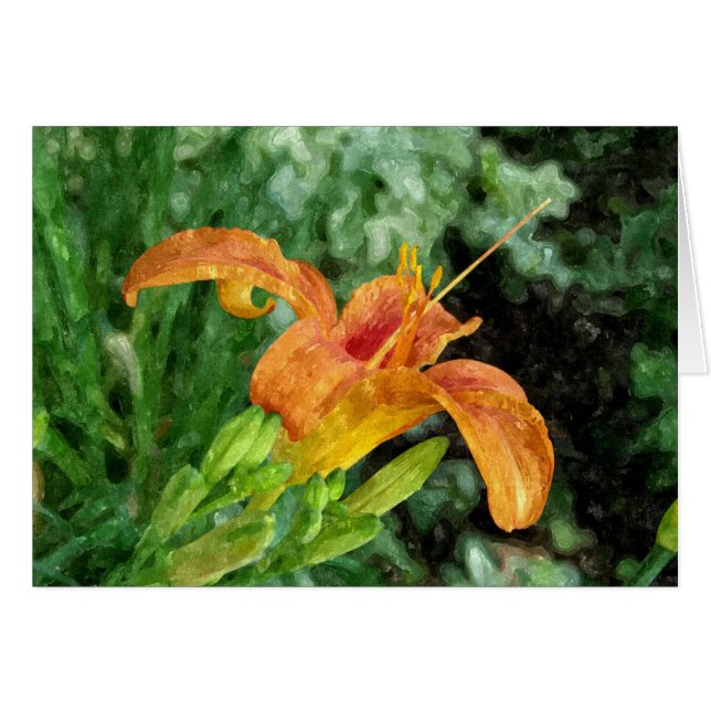 Daylily Watercolor (Front Horizontal)
