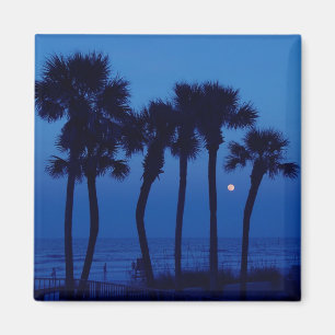 Daytona Beach FL Tropical Palm Tree Moon Magnets