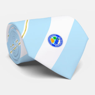 Daytona Beach (Florida) city flag Neck Tie