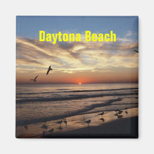 Daytona Beach magnet