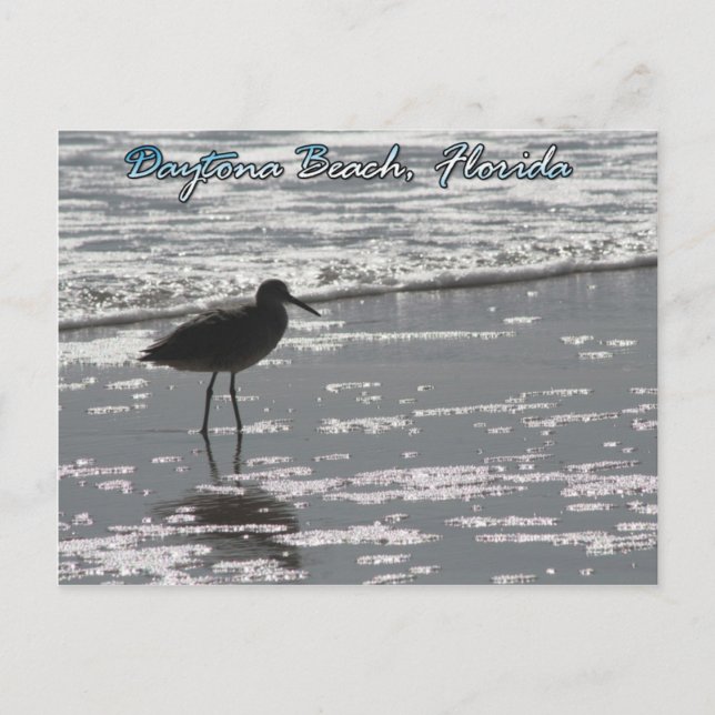 Daytona Beach Postcard (Front)
