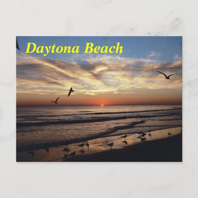 Daytona Beach postcard (Front)