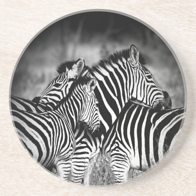 Dazzle of Zebra  Coaster (Front)