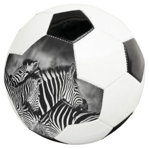 Dazzle of Zebra  Football