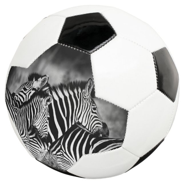 Dazzle of Zebra  Football (Three Quarter)