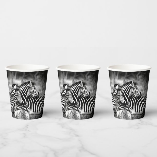 Dazzle of Zebra  Paper Cups (Multi)