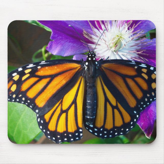 Dazzling Butterfly Mouse Pad (Front)