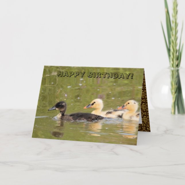 Dazzling Cute Ducks Birthday Card (Front)