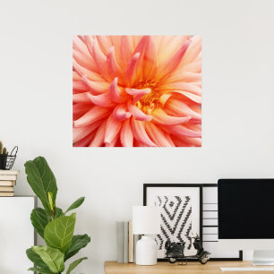 Dazzling Dahlia Flower Poster