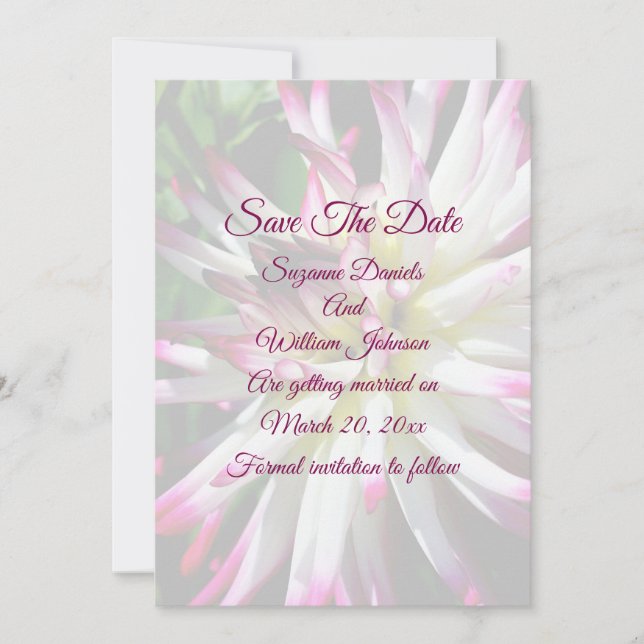 Dazzling Dahlia Flower Wedding  Save The Date (Front)