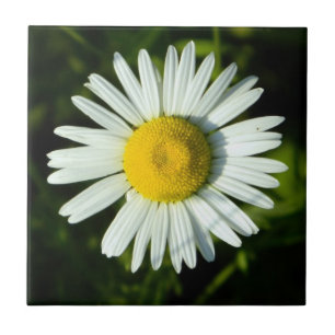 Dazzling Daisy Tile