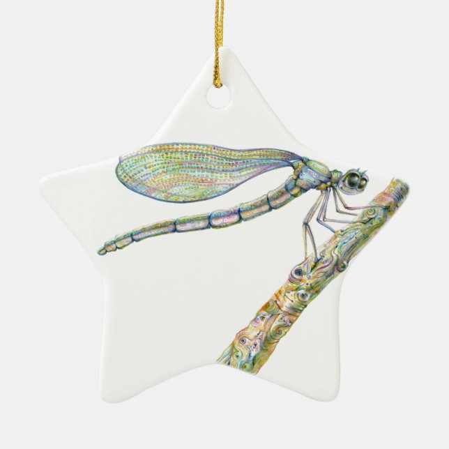 Dazzling Dragonfly on a Branch Ceramic Tree Decoration (Front)