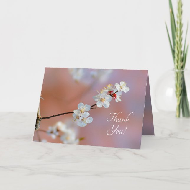 Dazzling Japanese Apricot Blossoms Thank You Card (Front)