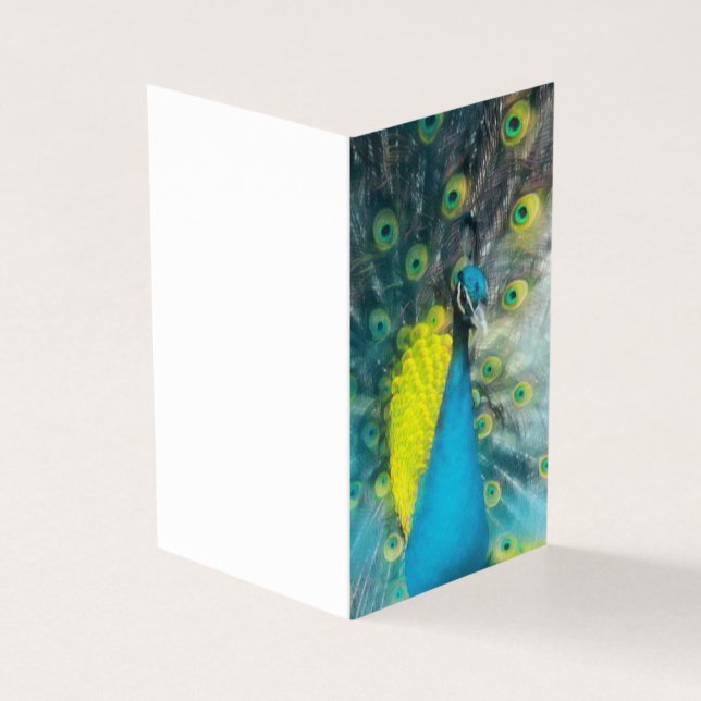 Dazzling Peacock - blank gift tag set (Outside)