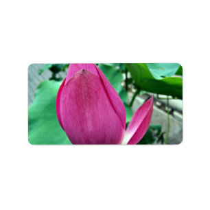 Dazzling Pink Lotus Flower Label