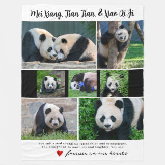 DC Giant Pandas "In Our Hearts" Blanket