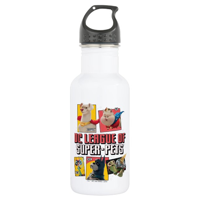 DC League of Super-Pets Character Panels 532 Ml Water Bottle (Front)