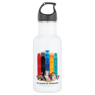 DC League of Super-Pets Metropolis Towers 532 Ml Water Bottle