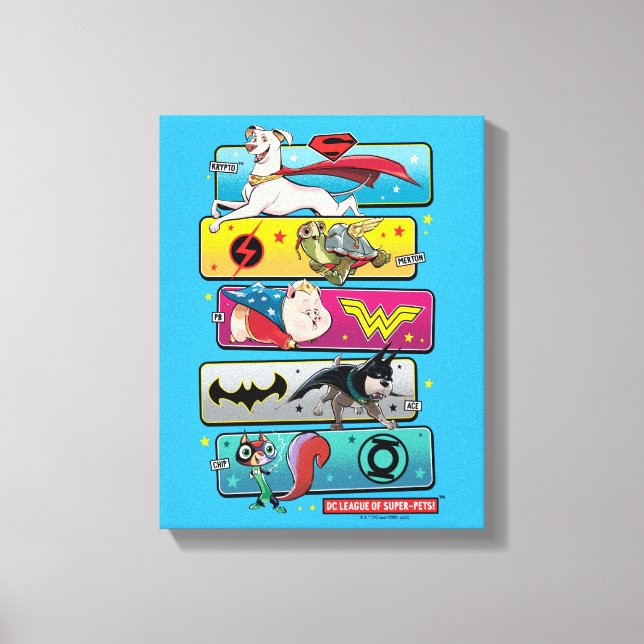 DC League of Super-Pets Panels Canvas Print (Front)
