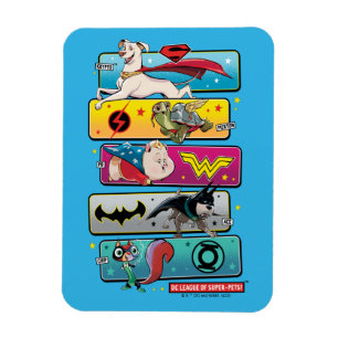 DC League of Super-Pets Panels Magnet