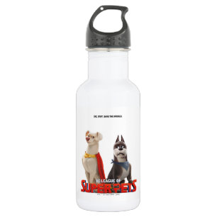 DC League of Super-Pets Theatrical Art 532 Ml Water Bottle