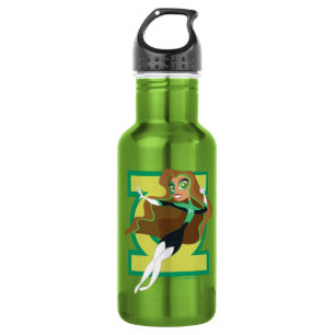 DC Super Hero Girls Green Lantern 532 Ml Water Bottle
