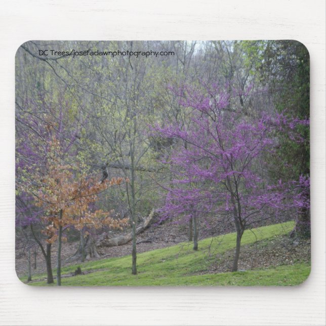 DC Trees Mousepad (Front)