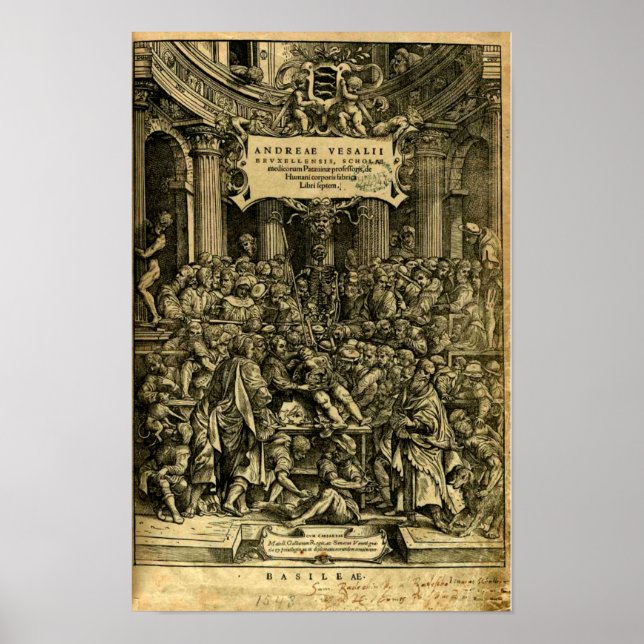 De Humani Corporis Fabrica Poster (Front)
