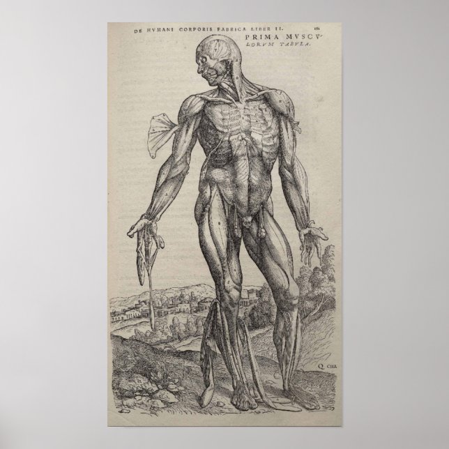 De Humani Corporis Poster (Front)