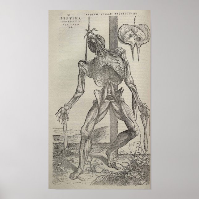 De Humani Corporis Poster (Front)