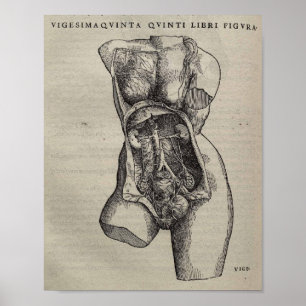 De Humani Corporis Poster